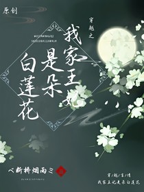 穿越之我家王妃是朵白莲花
