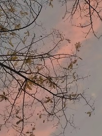 想念非秋，而为夏