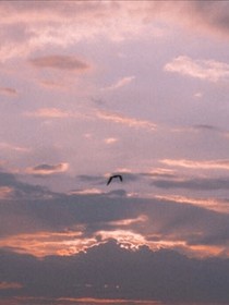 云邊彼岸