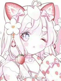 小花仙之完美公主