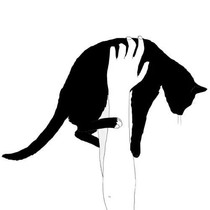 掉水里了？我去撈你