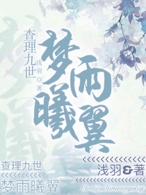 查理九世之梦雨曦翼