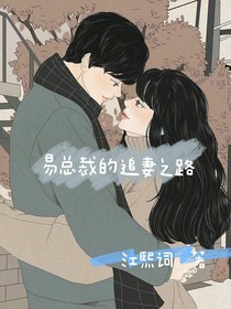 易总裁的追妻生涯