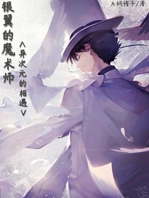 銀翼的魔術(shù)師（異次元的相遇）