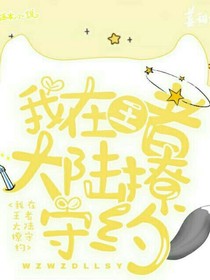 我在王者大陸撩小守約