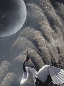 从开始到未来只为你