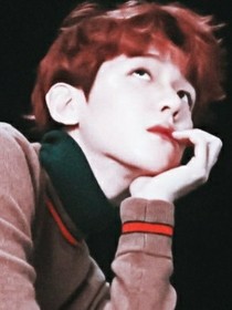 边伯贤：重生成偏执少爷的心上人