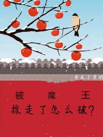 被魔王掠走了怎么破？！