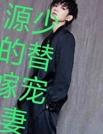 源少的替嫁宠妻