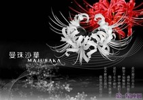 叶罗丽之吾为王