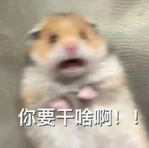 我家小姐又闯祸了