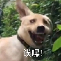 头脑不灵光怎么办？