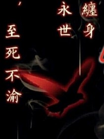 爭鋒無極