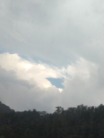 順利的愛(ài)情