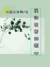 我的世界陽源cp
