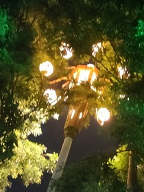 真幸運(yùn)遇見你