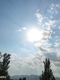 霸苍