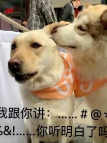 重生華夏修仙