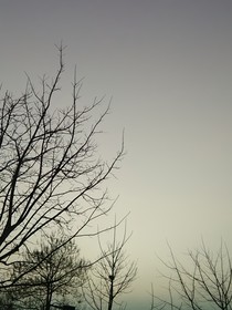 你在，我能看見光