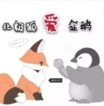 企鹅and北极狐