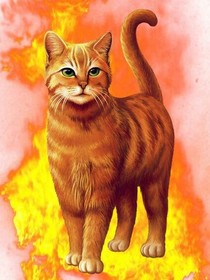 猫武士：守望群星