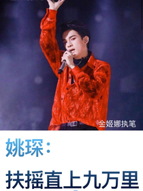 姚琛：扶摇直上九万里