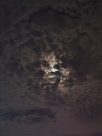 谁人挑灯伴夜长