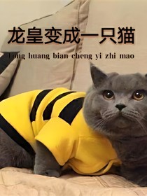 龙皇变成一只猫