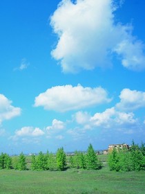 这个夏天有关于你-d422