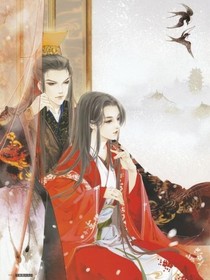鲛人泪与杀手王妃