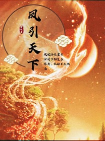 凤引天下