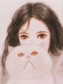 迷路的猫