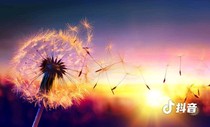 亦會(huì)珍藏，亦會(huì)歡喜