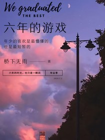 六年的游戏