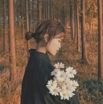 愛简