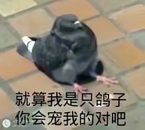 啥都有點