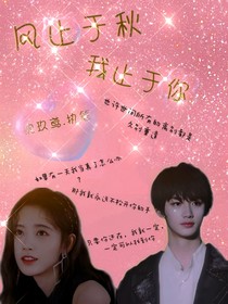 风止于秋，我止于你