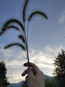 人间不值得（随笔篇）