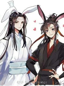 魏婴之蓝湛师徒