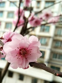 我虽女帝