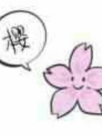 戏文合集