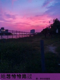 她想悄悄路過
