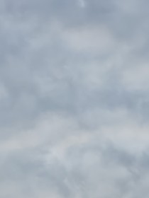 書(shū)名正在修改1601000314982492042