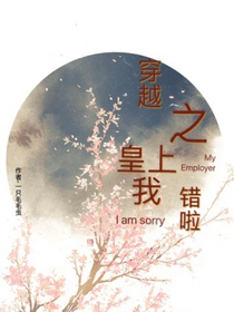 穿越之皇上对不起
