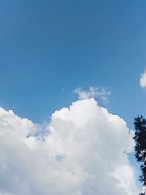 我和我的另一个她