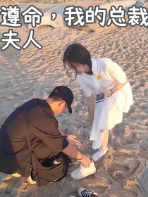 遵命，我的總裁夫人