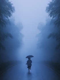 竹青之旅