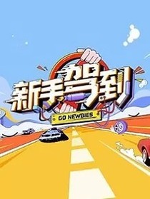 新手駕到：小甜心