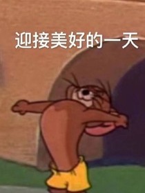 NPC：限定的時(shí)光