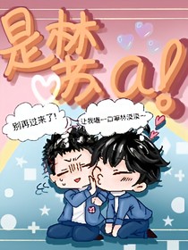 是林苏啊